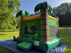 palm20tree20bounce20house20rental 1699458011 Tropical Paridise Combo